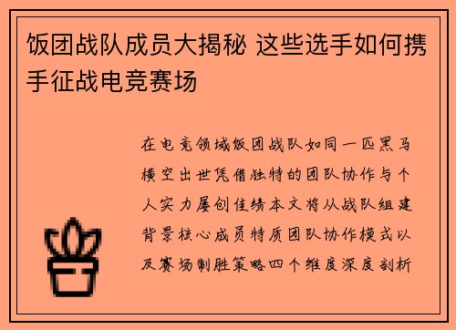 饭团战队成员大揭秘 这些选手如何携手征战电竞赛场